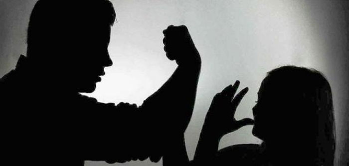 المعايطة: الأردن تصدى لحالات العنف ضد النساء