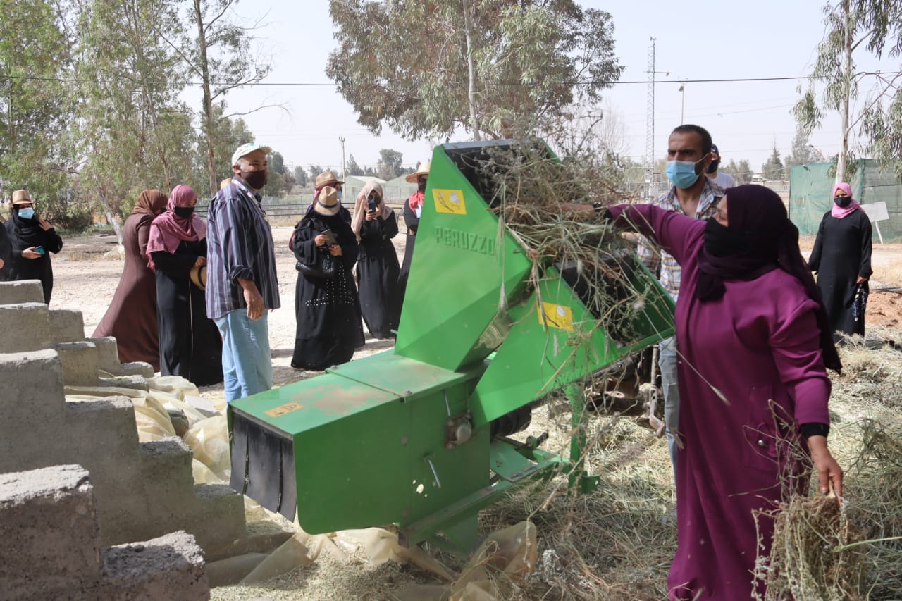 البحوث الزراعية يختتم دورة تدريبية في تصنيع واستخدام الكمبوست