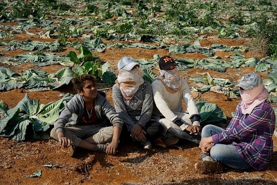 دعوة لتجديد الالتزام لإنهاء أسوأ أشكال عمل الأطفال