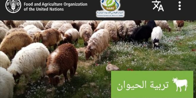 الفاو والبحوث الزراعية يطلقان اول منصة لخدمة المزارعين