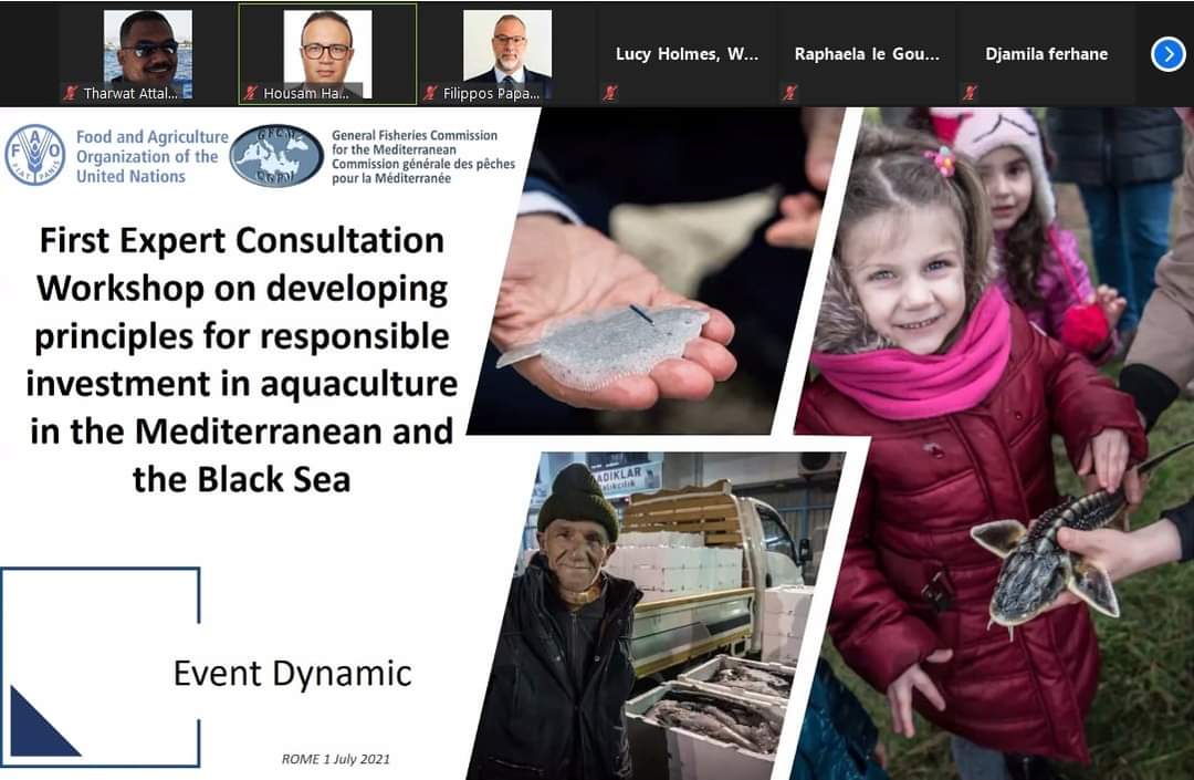 ورشة عمل حول تطوير مباديء الإستثمار في تربية الأحياء المائية