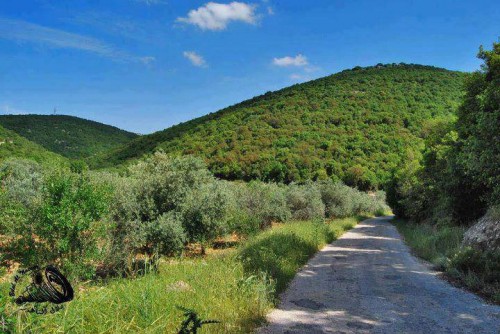 دهس موظف زراعة من قبل حطابين ... والوزير يتابع حالته الصحية