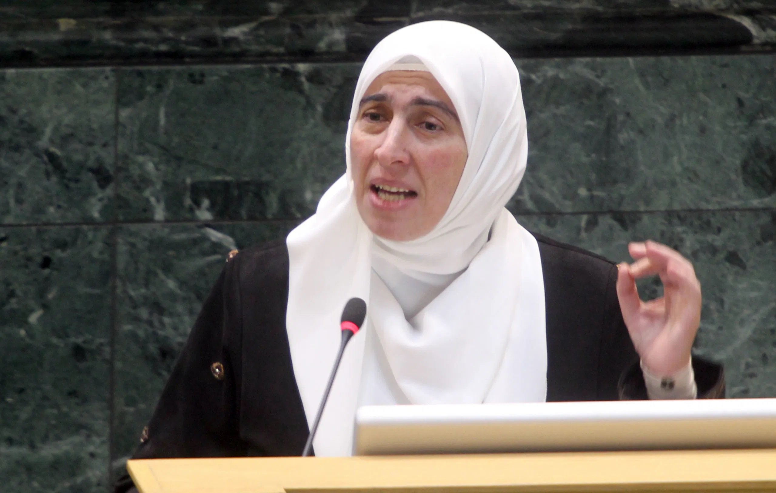 طهبوب: “تحديث الإصلاح” لم تنهِ أعمالها بتوصيات “الانتخاب”