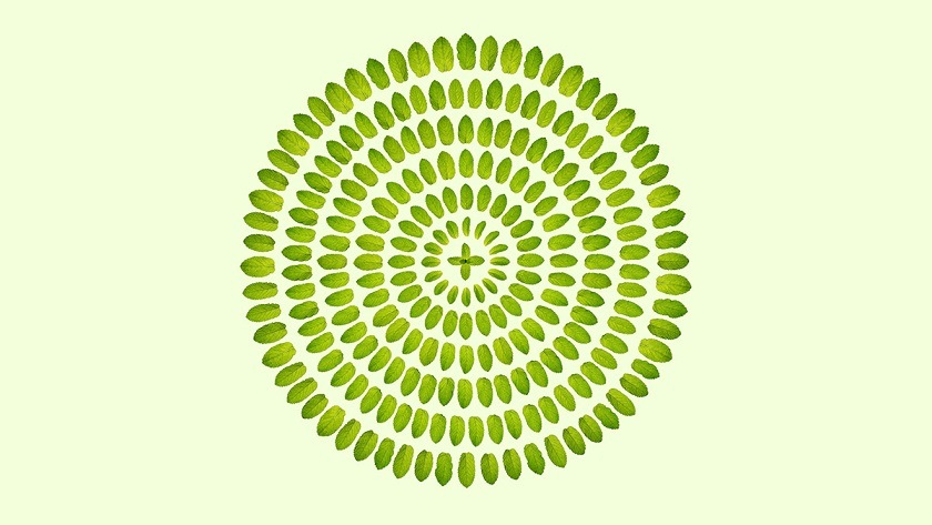 مشروع دعم المياه والبيئةWES يقدم الدعم لمشاريع الإقتصاد الدائري والريادة الخضراء في الجزائر