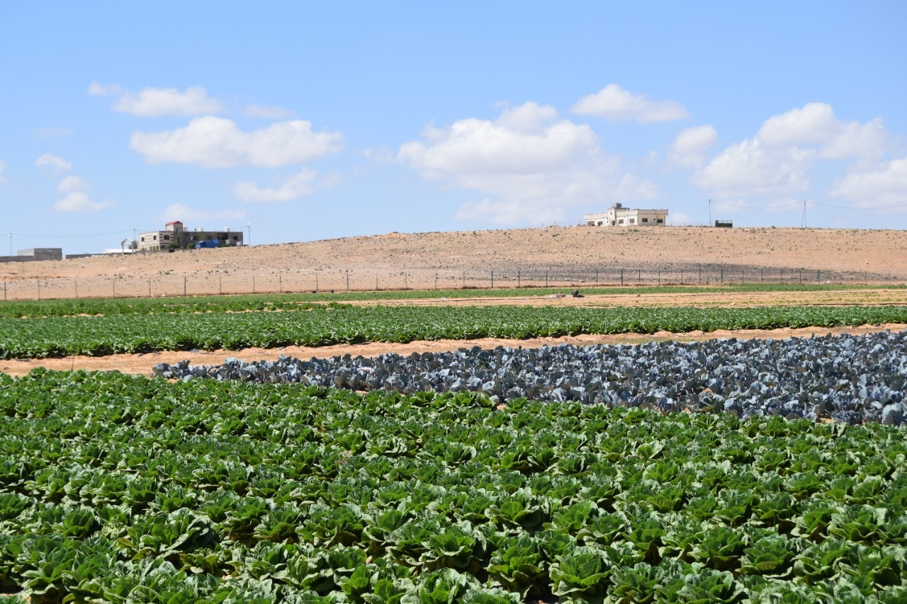 Virtual meeting on advancing advisory services for small-scale producers , family farmers