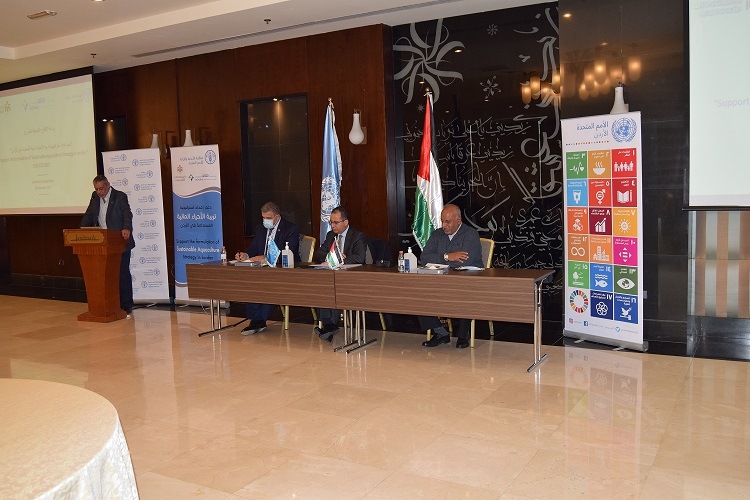 FAO launches a project to formulate a sustainable aquaculture strategy in Jordan