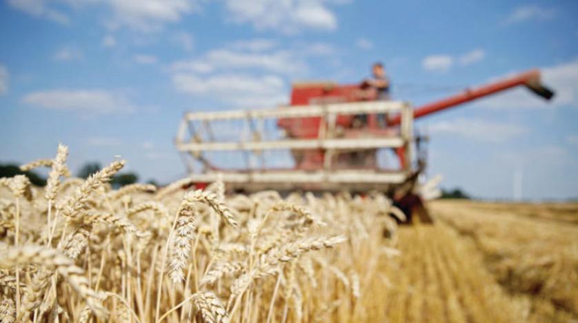 البنك الدولي يؤكد الاردن "آمن غذائياً"