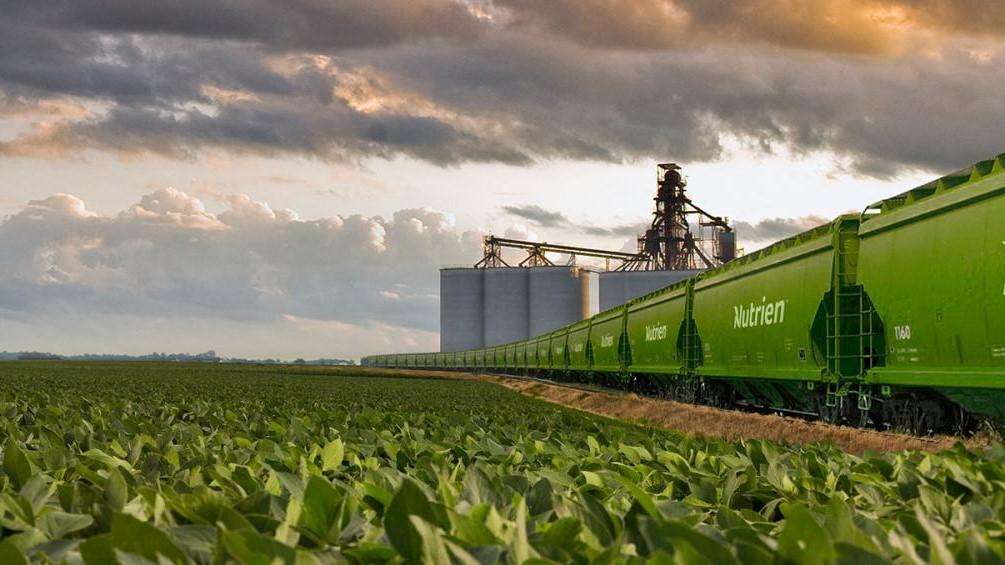 أكبر شركة أسمدة في العالم تحذر من استمرار الأزمة لما بعد 2022