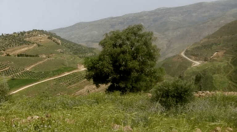 المنتدى العالمي للأرض ينطلق في البحر الميت اليوم