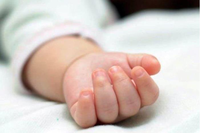 قطعة جزر تودي بحياة طفل في إربد