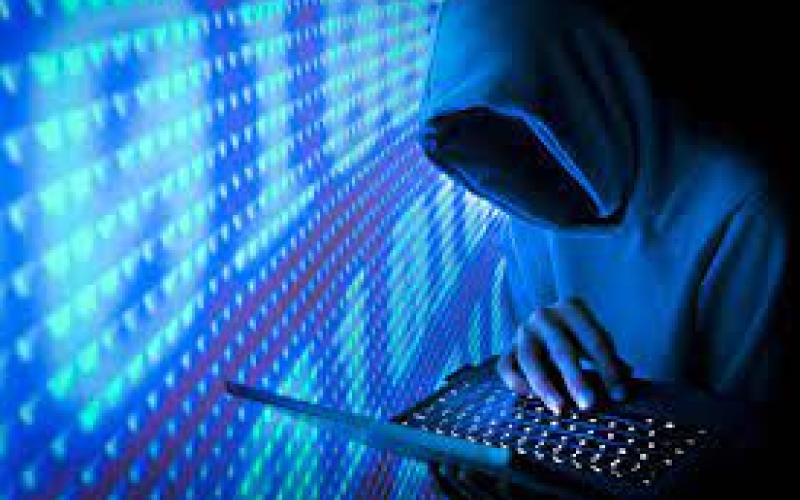 ارتفاع معدل قضايا الجرائم الإلكترونية تثير تفاعل رواد التواصل الاجتماعي