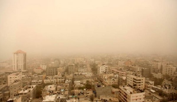 أجواء ربيعية لطيفة اليوم ومنخفض خماسيني الاثنين