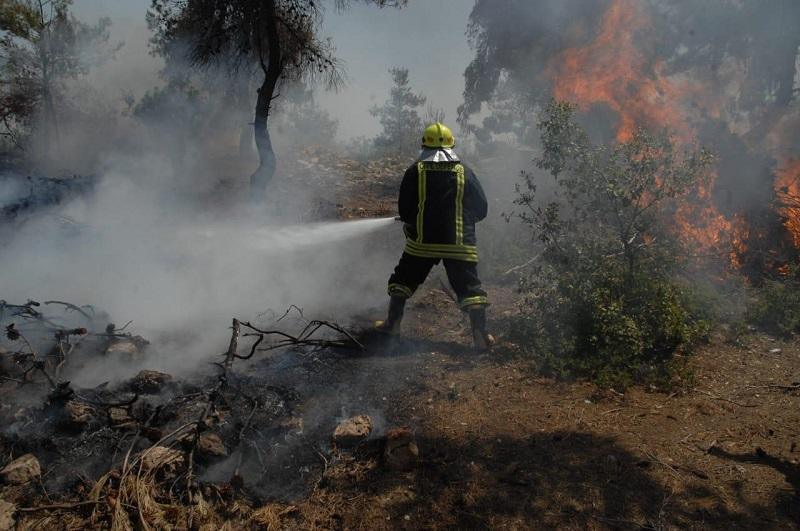 Suspect arrested in connection with forest fire in Jerash