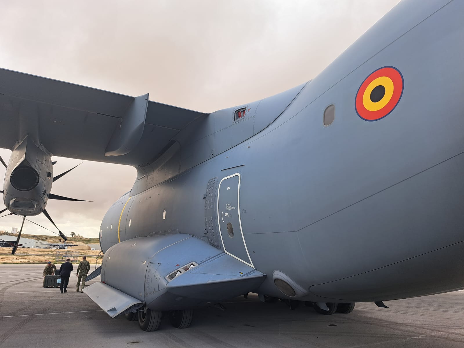 Belgium advocates for immediate ceasefire and humanitarian access in Gaza