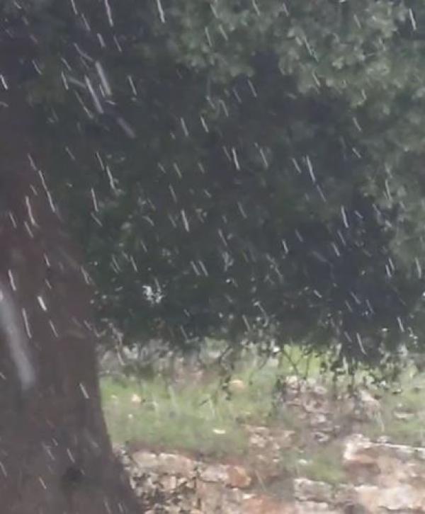 Snow pellets reported in Ajloun