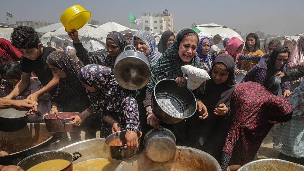 Entire Gaza population at critical risk of famine, UN-backed assessment says