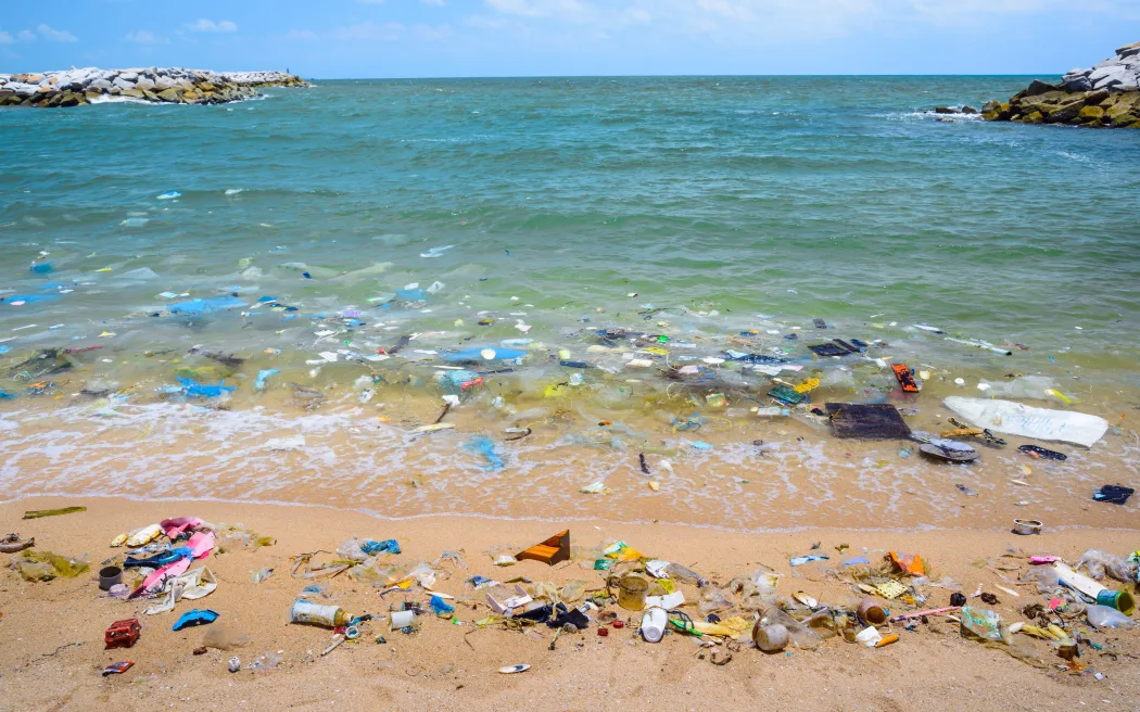 Mediterranean faces urgent plastic pollution threat, warns UfM