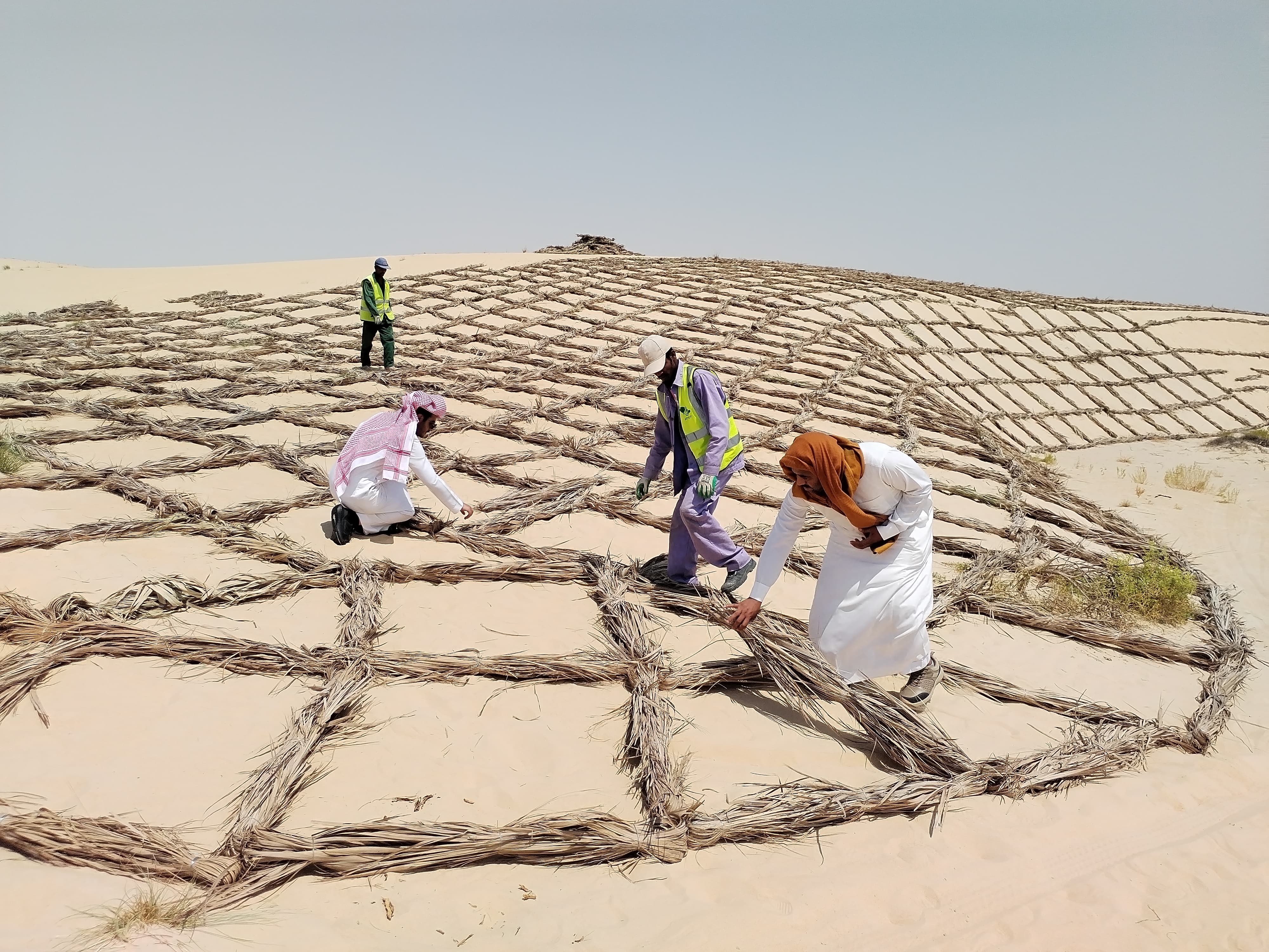 FAO praises Saudi Arabia's plan to plant 10 billion trees