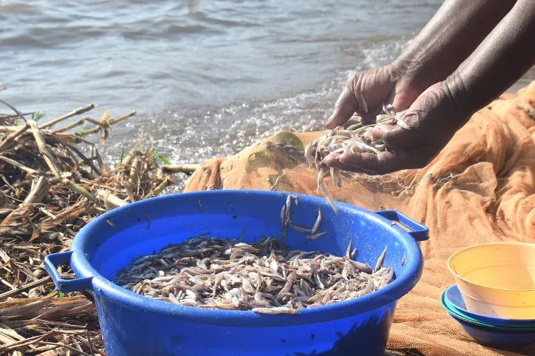 Lake Victoria women defy taboos, embrace fishing amidst climate concerns