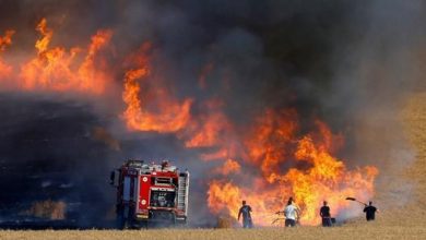 Photo of الزراعة : حريق جرش ليس في أراضي حرجية