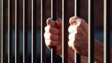 صورة الشبول:الحكومة تدرس تمديد أمر حبس المدين