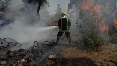 Photo of Suspect arrested in connection with forest fire in Jerash