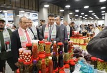 Photo of National Olive Festival concludes with JD 2.8 million in sales