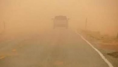 Photo of Visibility concerns rise as dust storm hits the Kingdom