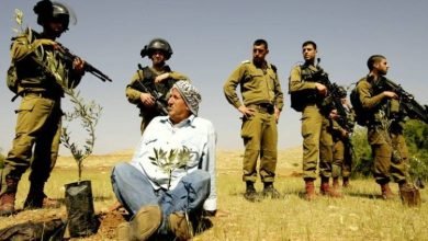 Photo of مسؤول أممي: يجب أن يتمتع المزارعون الفلسطينيون بالوصول الآمن إلى بساتينهم