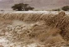 Photo of Bodies of Belgian woman and her son found after flash floods in Shoubak