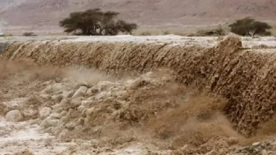 Photo of Bodies of Belgian woman and her son found after flash floods in Shoubak