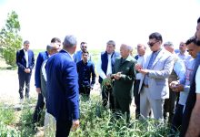 Photo of رئيس الديوان الملكي يتفقد مشاريع مبادرات ملكية زراعية في معان والعقبة