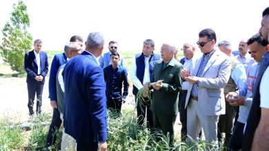 Photo of رئيس الديوان الملكي يتفقد مشاريع مبادرات ملكية زراعية في معان والعقبة