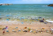 Photo of Mediterranean faces urgent plastic pollution threat, warns UfM