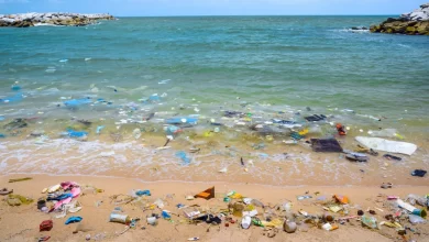 Photo of Mediterranean faces urgent plastic pollution threat, warns UfM