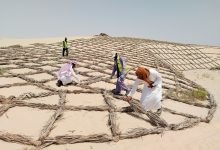 Photo of FAO praises Saudi Arabia’s plan to plant 10 billion trees