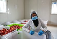 Photo of WFP, with China’s support, to begin providing school meals camp students in Jordan next Septemeber
