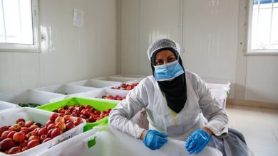 Photo of WFP, with China’s support, to begin providing school meals camp students in Jordan next Septemeber