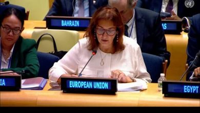 Photo of EU pushes diplomatic initiative for two-state solution at Palestine conference