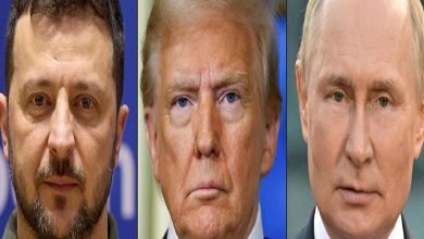 Photo of Trump plans White House meeting with Zelensky and European leaders – NYT