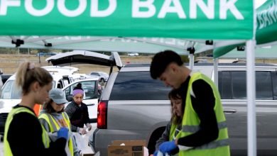 Photo of Trump administration must pay food aid benefits within days, judge says