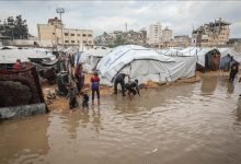 Photo of Jordan urges immediate international action as Gaza humanitarian crisis worsens