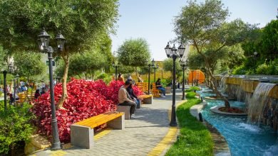 Photo of Petra University rises to 4th nationally in 2025 UI GreenMetric sustainability ranking